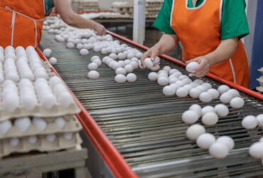 Chiny sprawdza unijne subsydia na importowany do kraju nabial. I wprowadza nowe cla