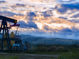 Rzad Ekwadoru zaczal wygaszac wydobycie ropy w parku narodowym w Amazonii