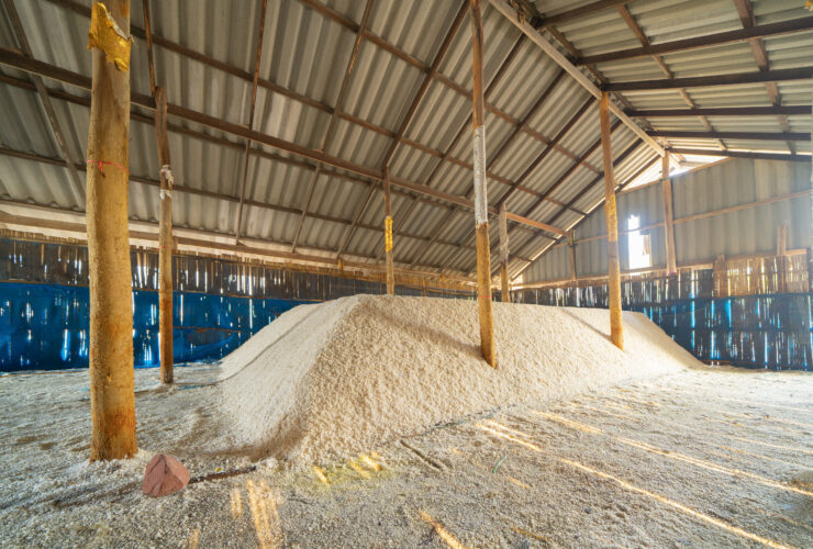 Japonia wchodzi w ryzowa inflacje. Ceny ryzu wzrosna tam o ponad 20 proc. rok do roku