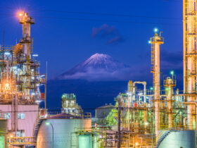 Akcje Tokyo Gas wzrosly najbardziej od 1987 r. po tym jak jeden z funduszy ujawnil znaczacy udzial