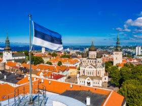 Madis Lehtmets zostaje dyrektorem zarzadzajacym Estonian Private Equity and Venture Capital Association