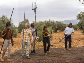 Rolnicy na podkarpaciu zawieszaja protest przed granica w Medyce