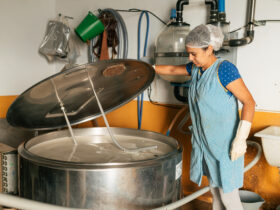 Skup mleka w Polsce od stycznia do wrzesnia wyzszy o 39 proc. rok do roku donosi Federacja mleczarska