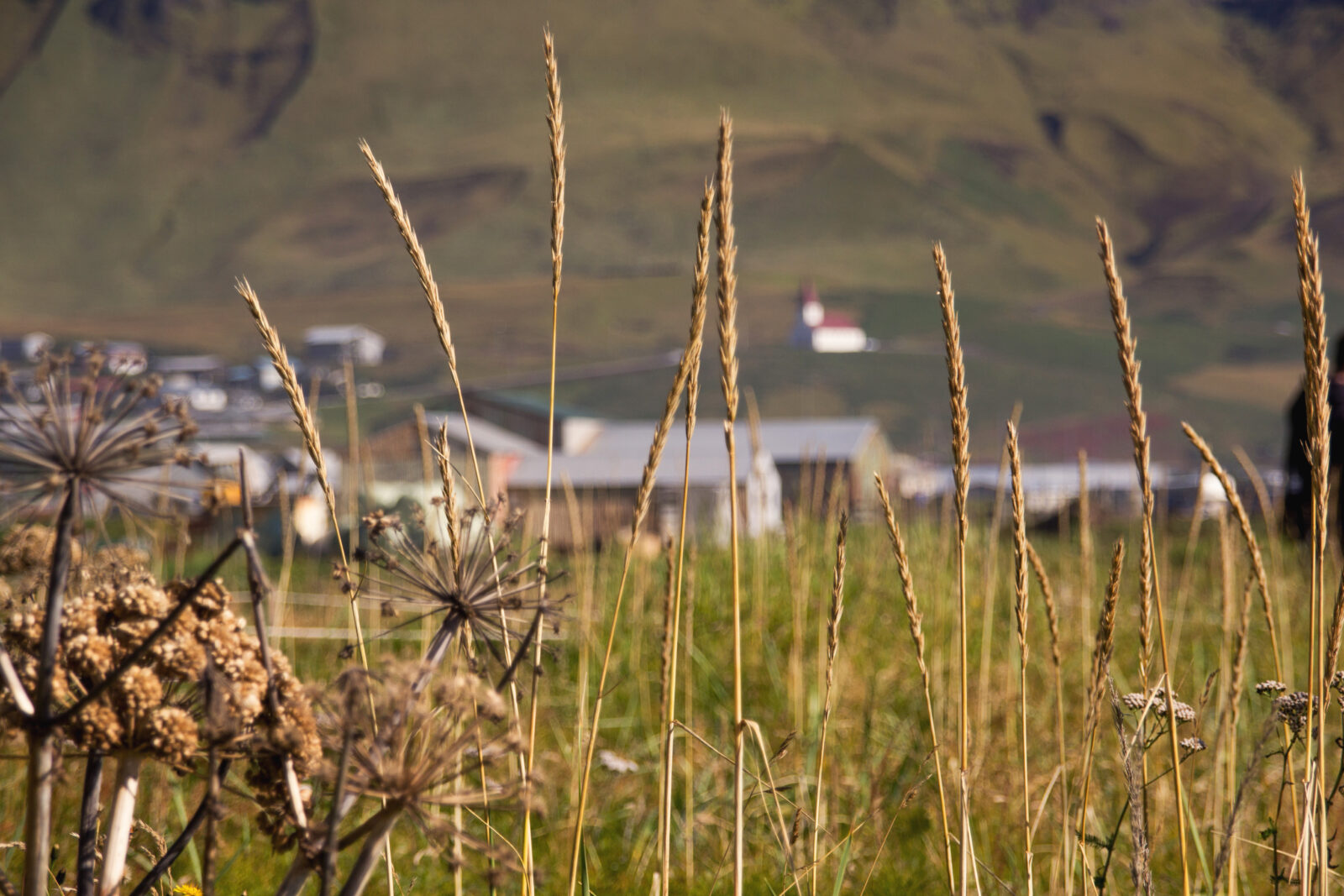 Agencja rolna podsumowuje wsparcie dla rolnikow w Polsce