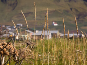 Agencja rolna podsumowuje wsparcie dla rolnikow w Polsce