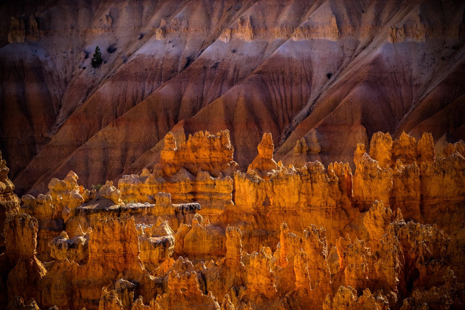 Rio Tinto podnosi prognoze produkcji miedzi na 2025 r. dzieki wzrostowi wydobycia w Mongolii