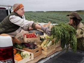 Komisja Europejska proponuje cla na produkty rolne i nawozy z Rosji i Bialorusi