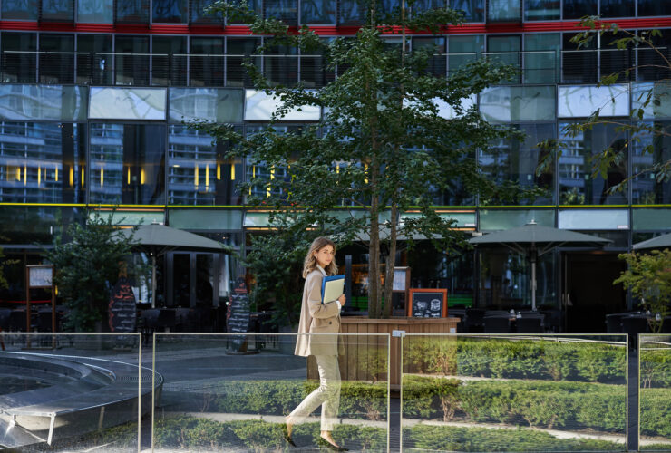 Meta wybiera na dyrektora generalnego UFC Dana Whitea Wybiera rowniez dwoch innych czlonkow zarzadu