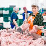 Wielka Brytania blokuje importu miesa i zwierzat z Niemiec po wykryciu tam pryszczycy