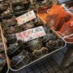 Eksport zywnosci z Japonii osiagnal rekordowy poziom 12. rok z rzedu