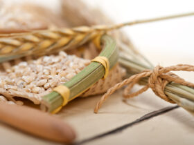 Chiny naloza dodatkowe cla w wysokosci 10 proc. 15 proc. na rozne produkty rolne z USA