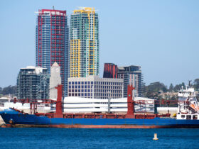 Hapag Lloyd odnotowuje o 19 proc. nizszy zysk netto w 2024 r. Obnizy dywidende