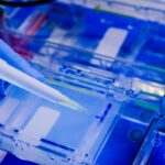 Japonia wraca do gry w polprzewodnikach i zapowiada wygranie z Tajwanem