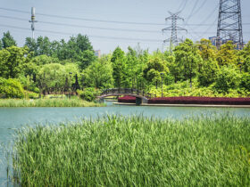 Kanadyjska prowincja Ontario podwyzsza cene pradu dla 15 mln odbiorcow w USA