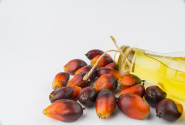 Koniec taniego oleju palmowego Produkcja zwalnia gdy popyt na biodiesel rosnie