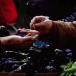 Pekin bierze na celownik rolnictwo USA z powodu grozby wprowadzenia taryf przez Trumpa