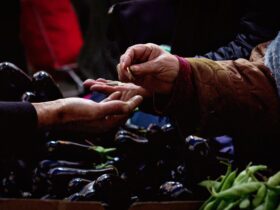 Pekin bierze na celownik rolnictwo USA z powodu grozby wprowadzenia taryf przez Trumpa