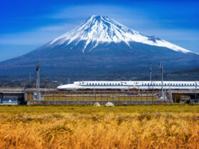 Tohoku Shinkansen wznowi dzialalnosc pociagow laczonych w piatek