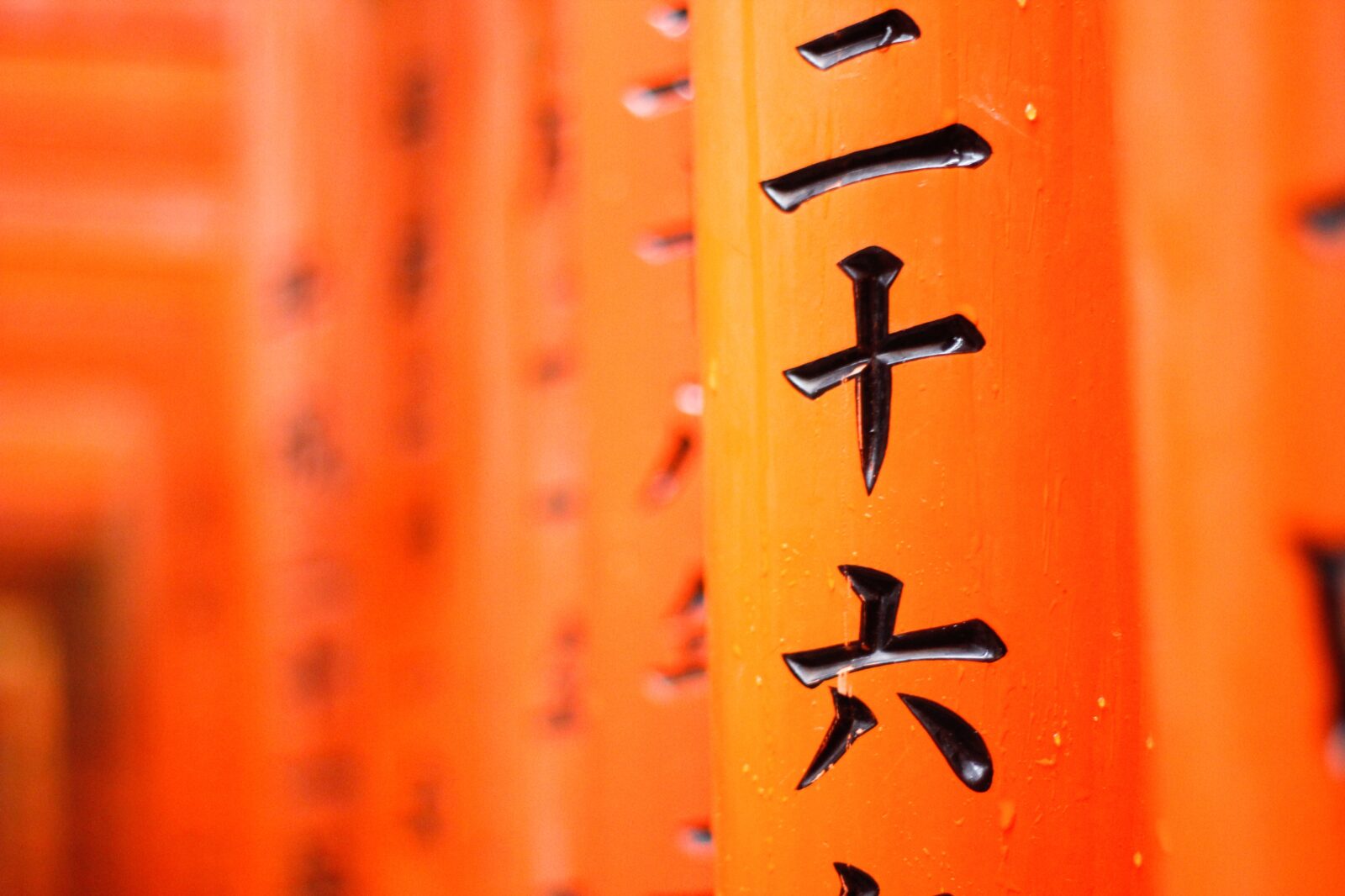 Mitsubishi planuje zainwestowac 27 mld dolarow w ciagu najblizszych 3 lat aby napedzac swoj wzrost