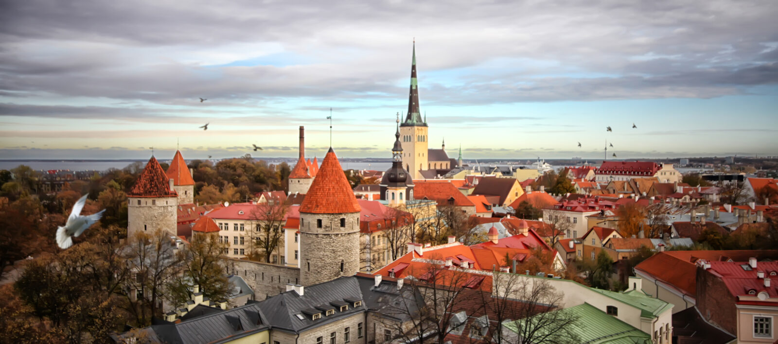 Region. Polozono kamien wegielny pod najwieksze centrum biznesowe w Pohja Tallin