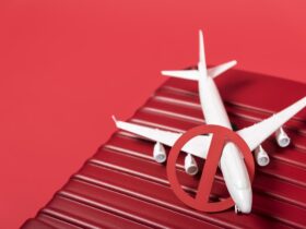 Delta musi stawic czola pozwowi pasazerow w zwiazku z powazna awaria komputera