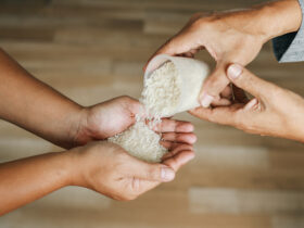 Japonski minister rolnictwa Taku Eto sklada rezygnacje po aferze z darmowym ryzem0A