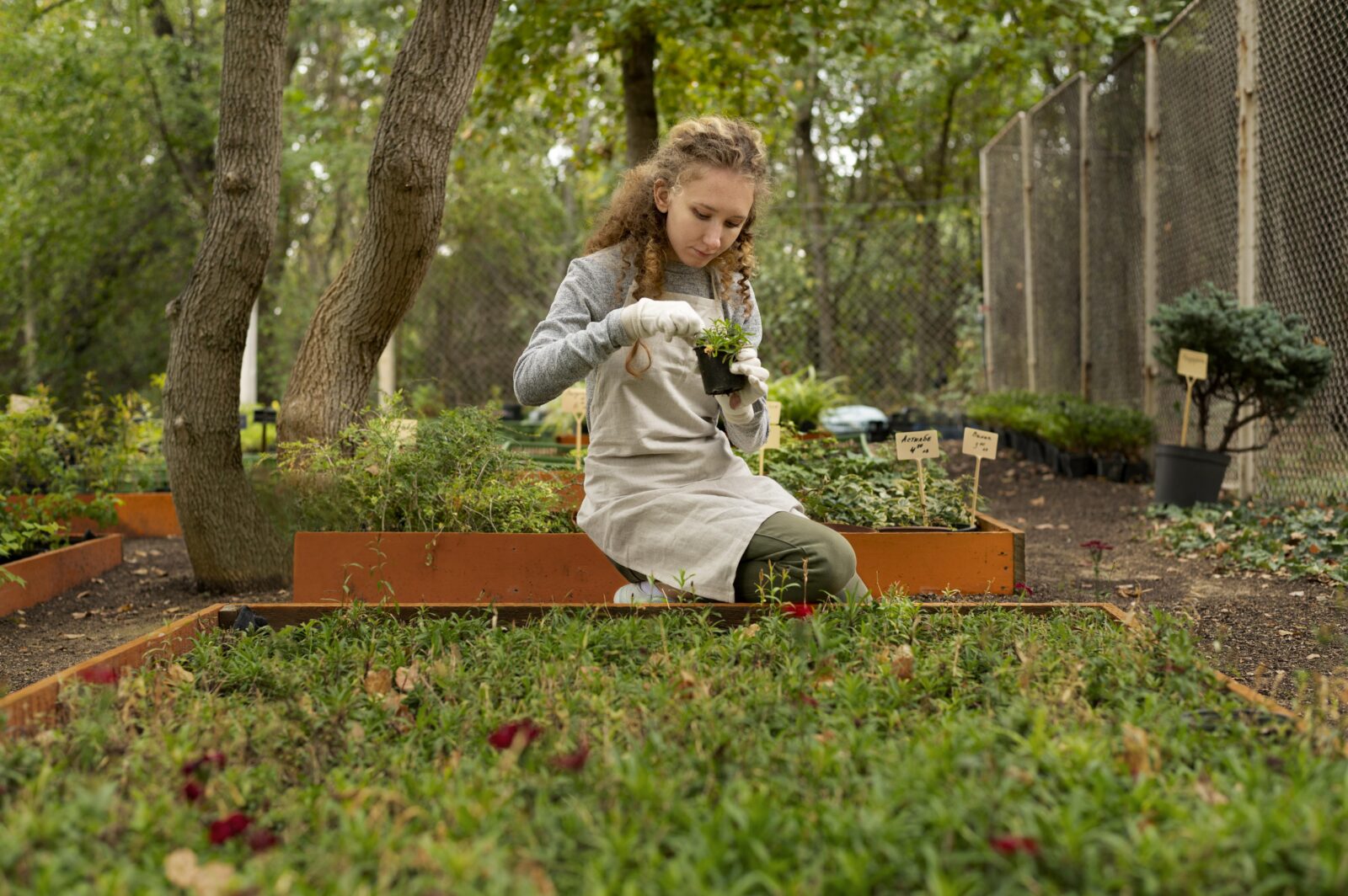 OLX podsumowuje zainteresowanie ogloszeniami Polacy ruszyli wiosna do remontow elewacji i prac w ogrodzie