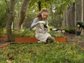 OLX podsumowuje zainteresowanie ogloszeniami Polacy ruszyli wiosna do remontow elewacji i prac w ogrodzie