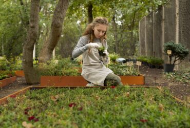 OLX podsumowuje zainteresowanie ogloszeniami Polacy ruszyli wiosna do remontow elewacji i prac w ogrodzie