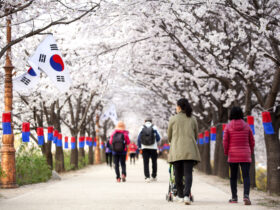 Poludniowokoreanski think tank obniza prognoze wzrostu na 2025 r. o polowe do 08 proc