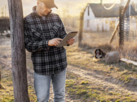 BGK udziela gwarancji rolnikom. Pomoc otrzymalo 11 tys. gospodarstw i firm