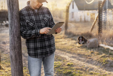 BGK udziela gwarancji rolnikom. Pomoc otrzymalo 11 tys. gospodarstw i firm