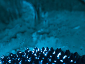 US Export Import Bank da 120 mln dolarow na kopalnie ziem rzadkich na Grenlandii