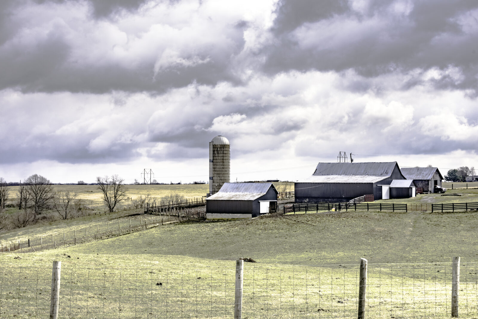 Niektore angielskie farmy moga zostac wylaczone z produkcji zywnosci