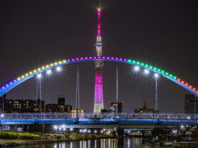 Region. Czechy prezentuja high tech na Expo 2025