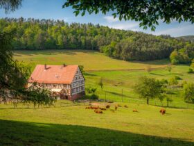 Region. Lotewskie grunty rolne po cichu staja sie potega biznesowa