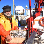 KE proponuje uprawnienia do polowow na Morzu Baltyckim na przyszly rok