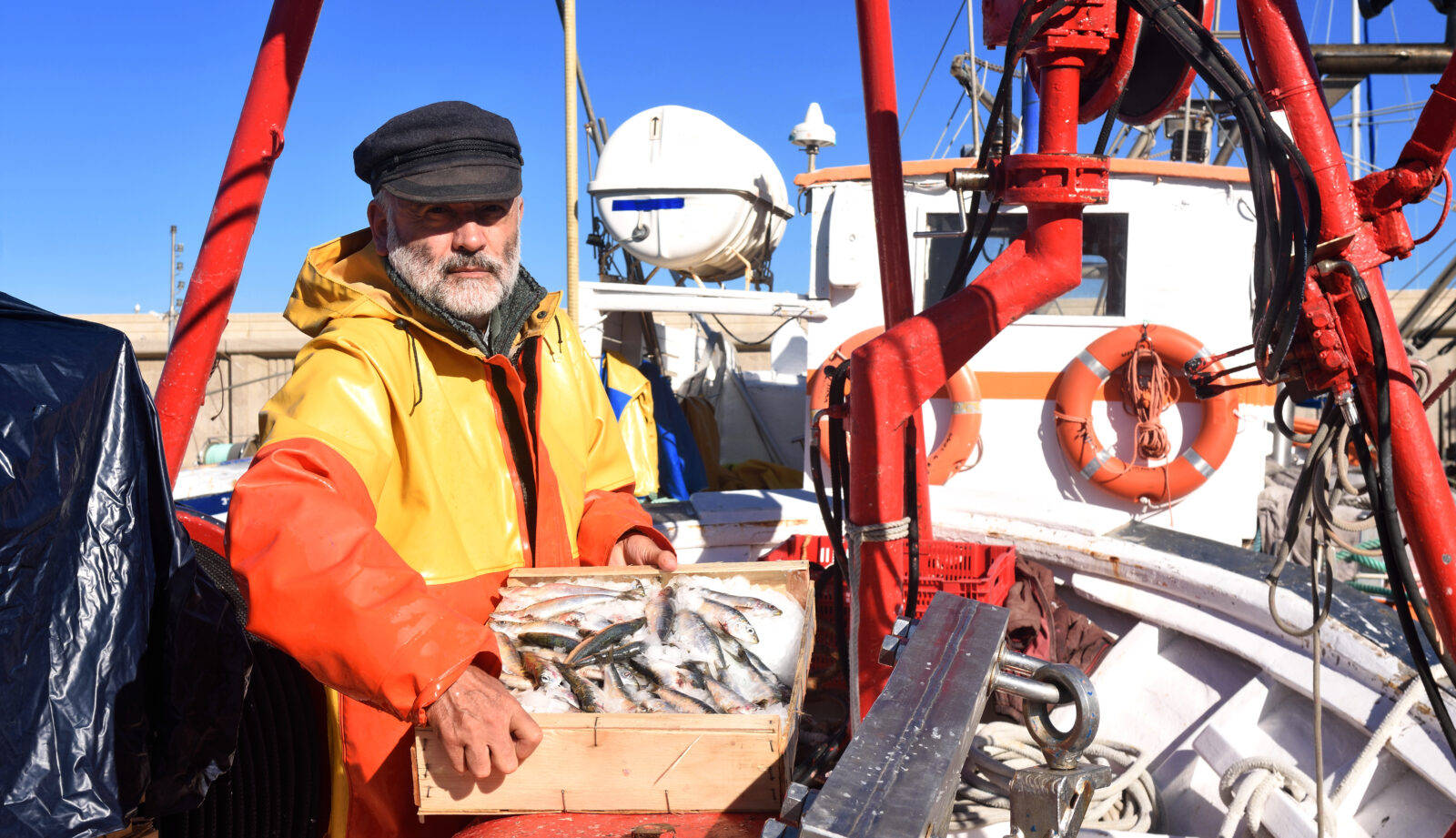 KE proponuje uprawnienia do polowow na Morzu Baltyckim na przyszly rok