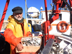 KE proponuje uprawnienia do polowow na Morzu Baltyckim na przyszly rok