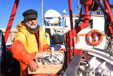 KE proponuje uprawnienia do polowow na Morzu Baltyckim na przyszly rok